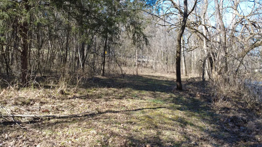 0 Carters Creek Pike Columbia, TN 38401