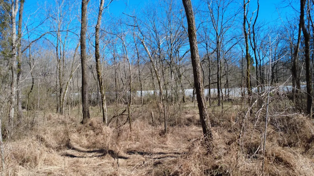 0 Carters Creek Pike Columbia, TN 38401