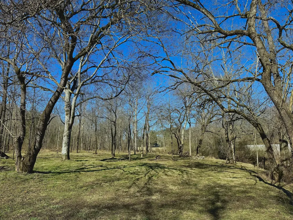 0 Carters Creek Pike Columbia, TN 38401
