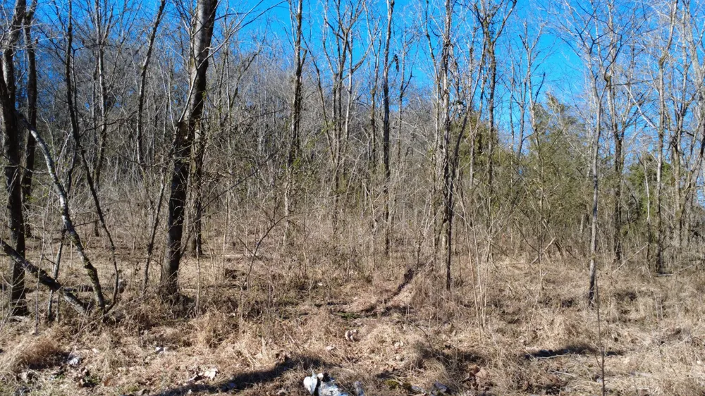 0 Carters Creek Pike Columbia, TN 38401