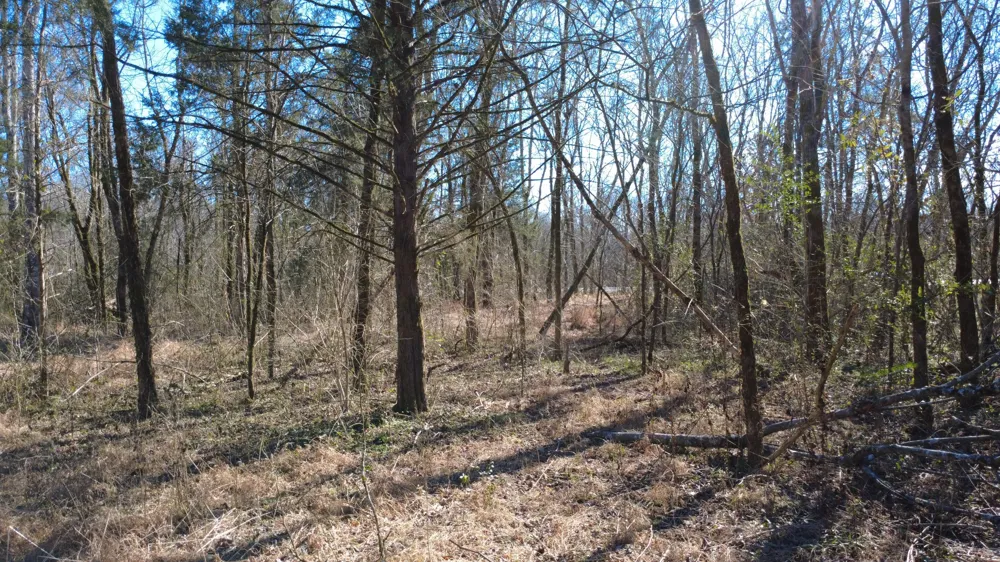 0 Carters Creek Pike Columbia, TN 38401
