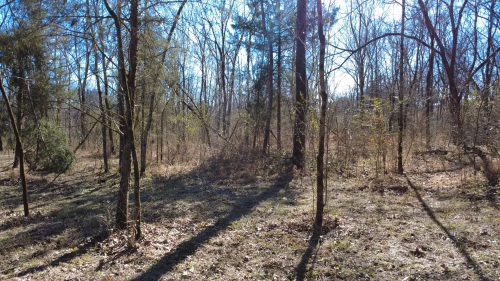 0 Carters Creek Pike Columbia, TN 38401