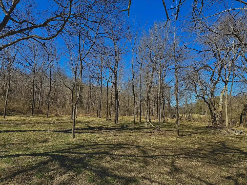 0 Carters Creek Pike Columbia, TN 38401