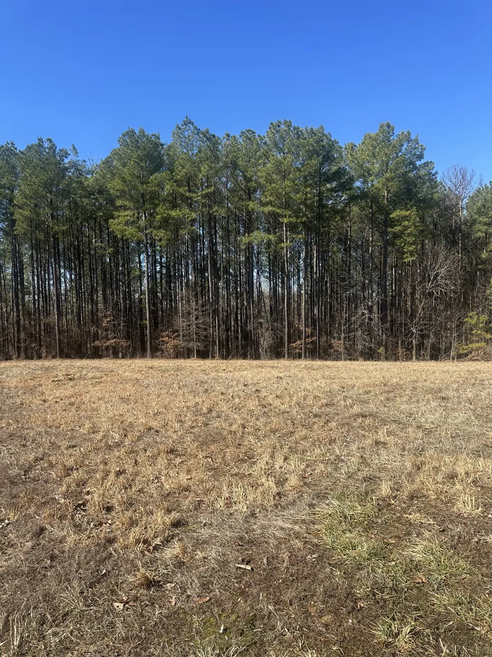 1970 Shores Trl Stewart, TN 37175