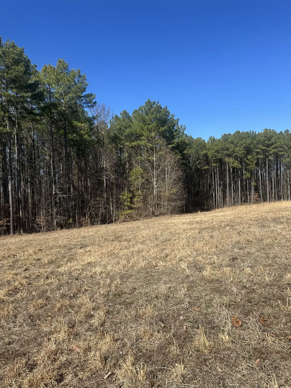 1970 Shores Trl Stewart, TN 37175
