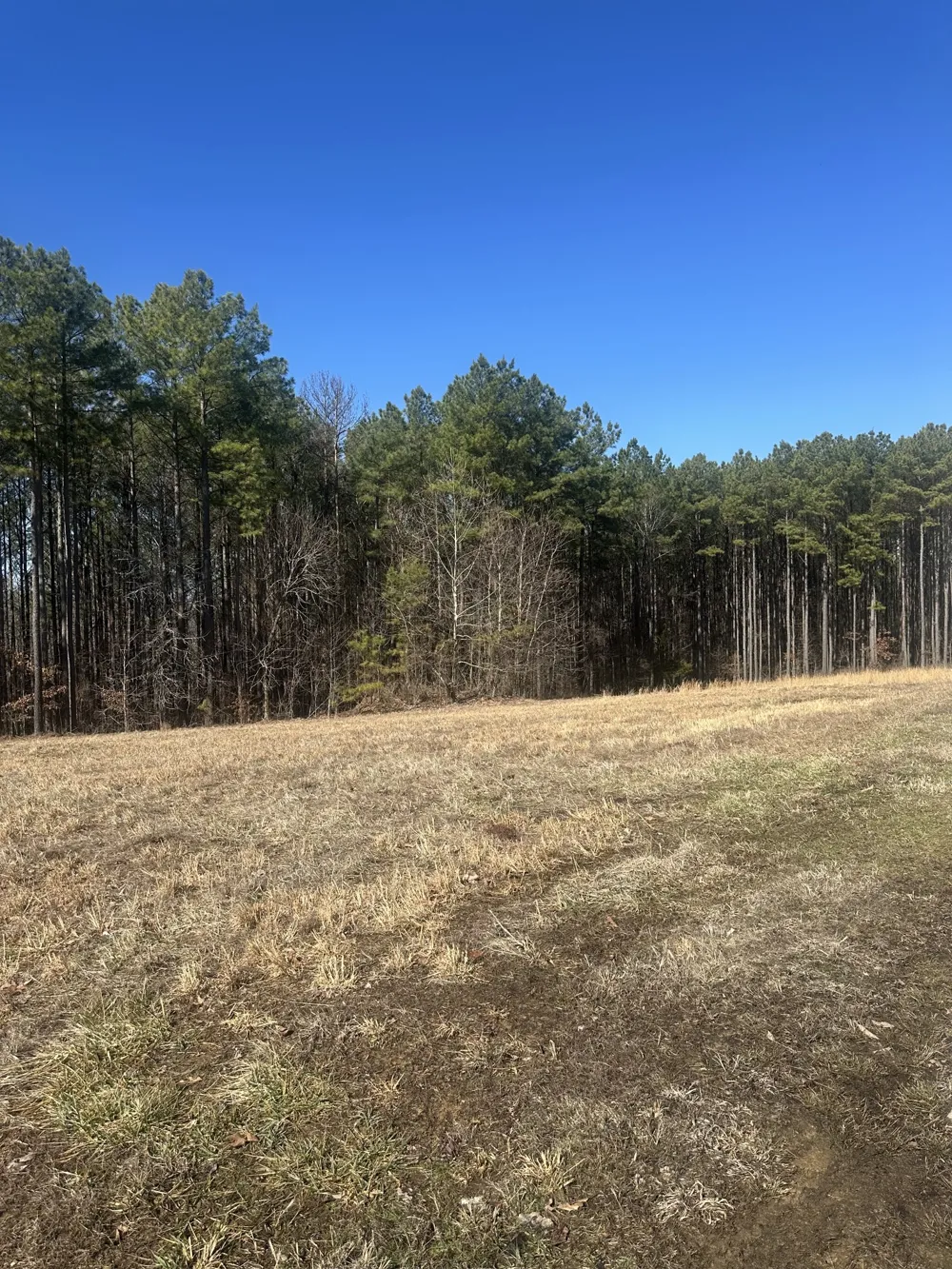 1970 Shores Trl Stewart, TN 37175