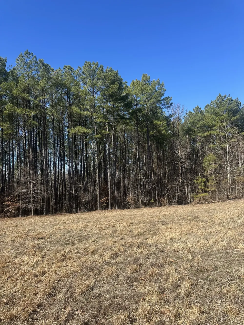 1970 Shores Trl Stewart, TN 37175