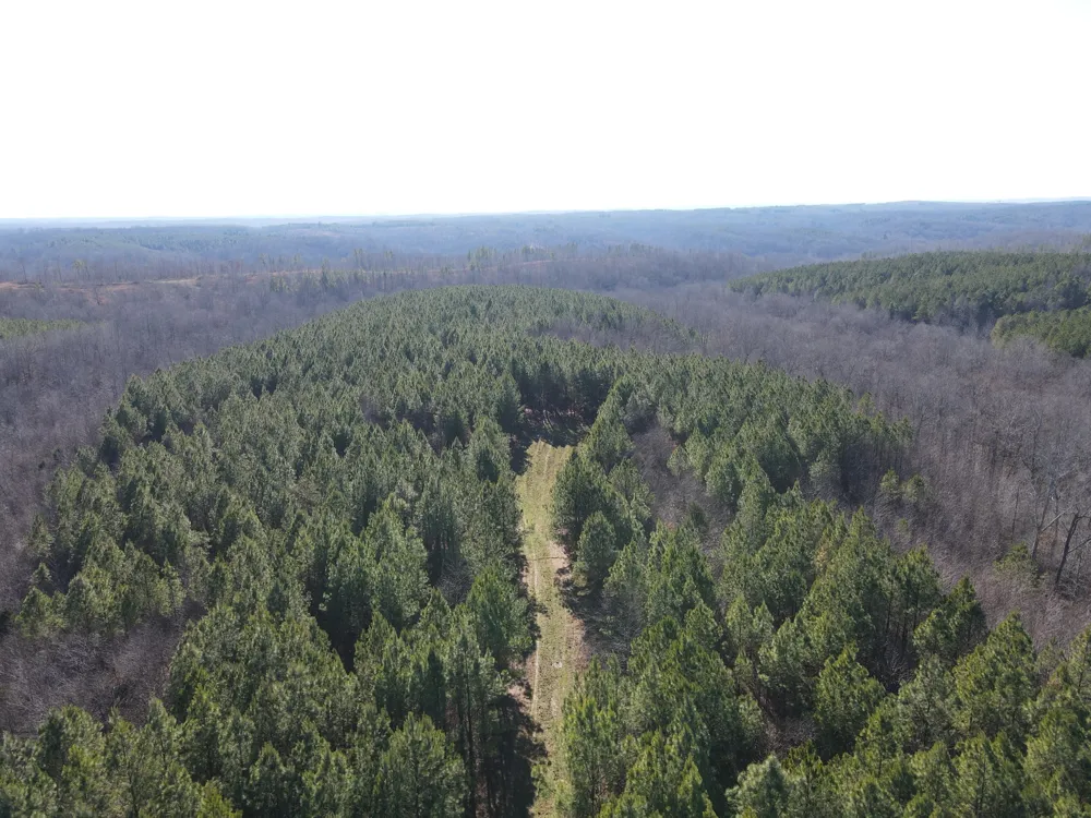 0 North Fork Stewart, TN 37175