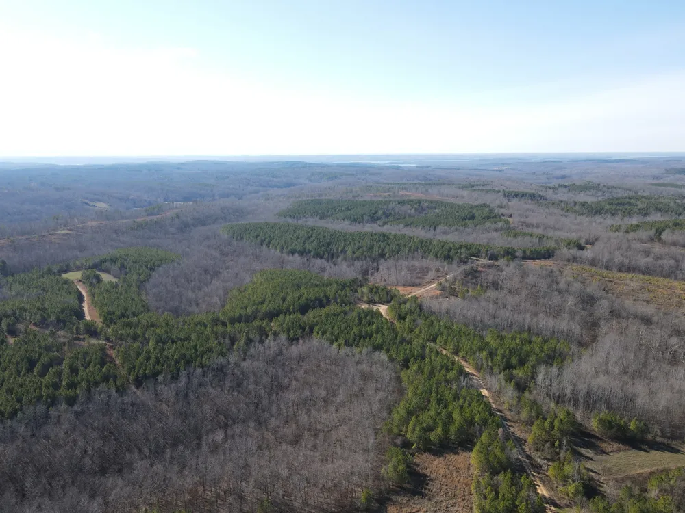0 North Fork Stewart, TN 37175
