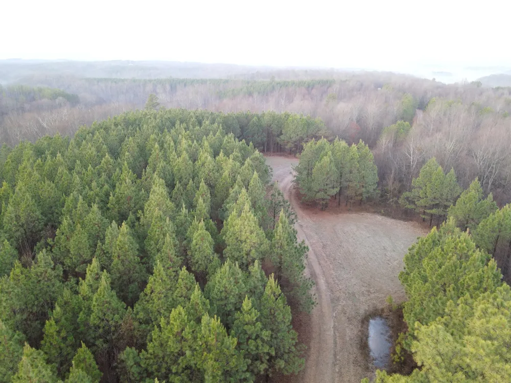 0 North Fork Stewart, TN 37175