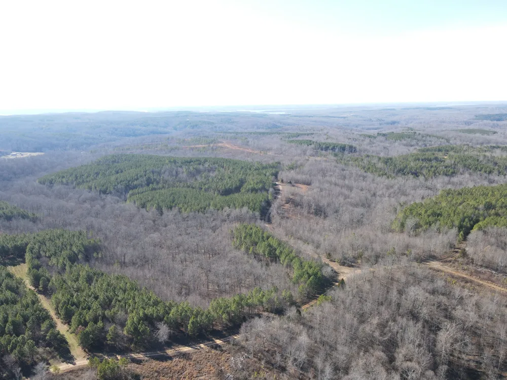 0 North Fork Stewart, TN 37175