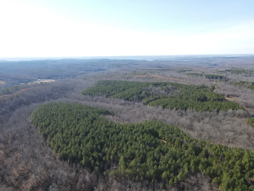 0 North Fork Stewart, TN 37175