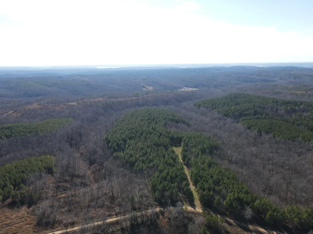 0 North Fork Stewart, TN 37175