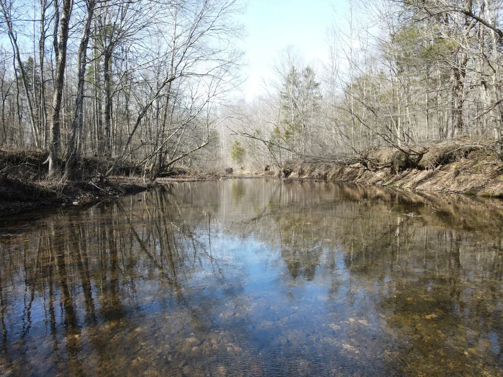 0 North Fork Stewart, TN 37175