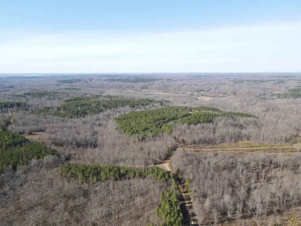 0 North Fork Stewart, TN 37175
