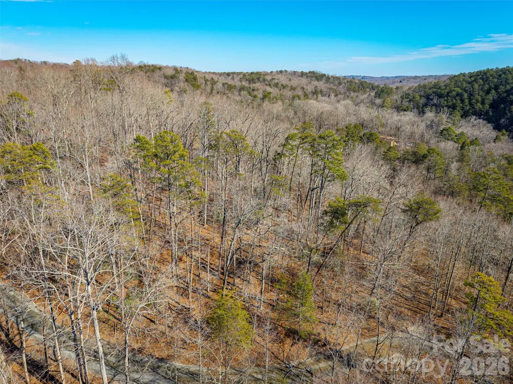 TBD Rondo Ridge Road Tryon, NC 28782