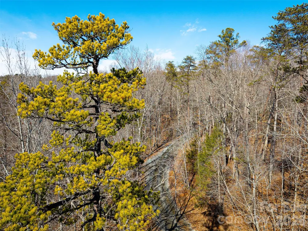 TBD Rondo Ridge Road Tryon, NC 28782