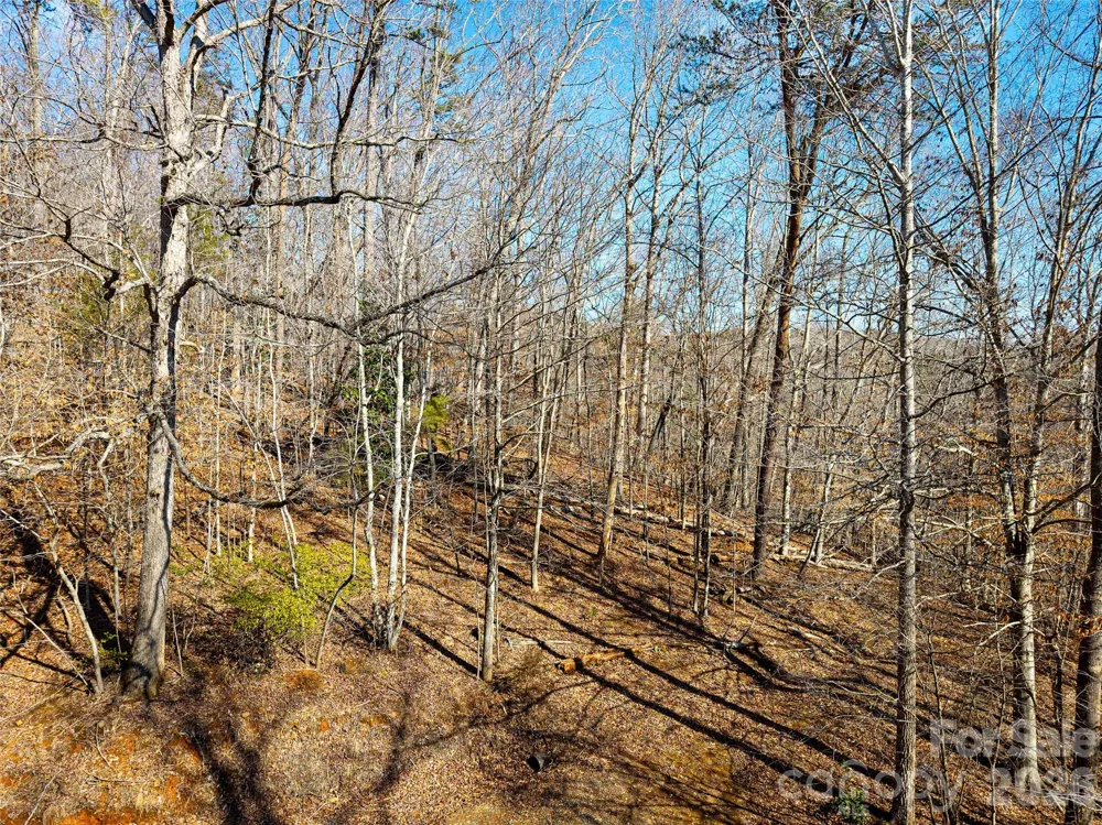 TBD Rondo Ridge Road Tryon, NC 28782