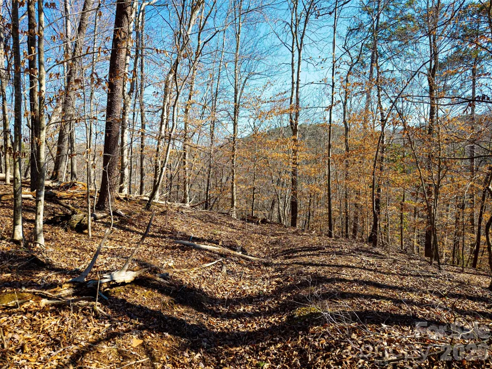 TBD Rondo Ridge Road Tryon, NC 28782