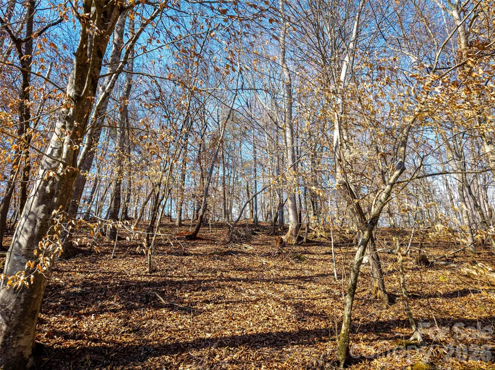 TBD Rondo Ridge Road Tryon, NC 28782