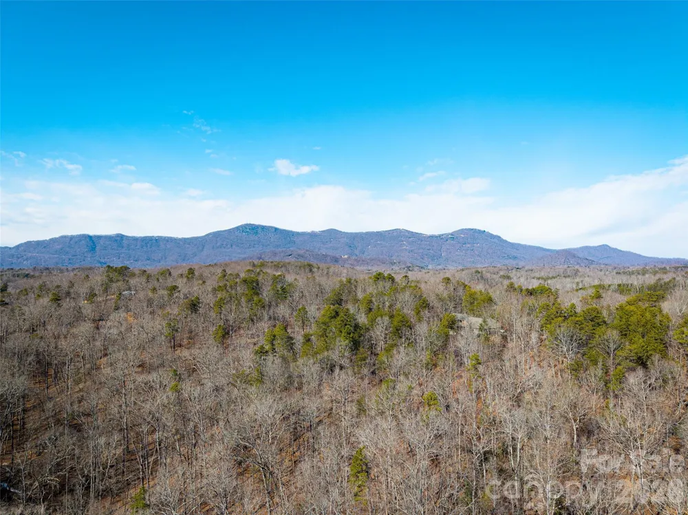 TBD Rondo Ridge Road Tryon, NC 28782