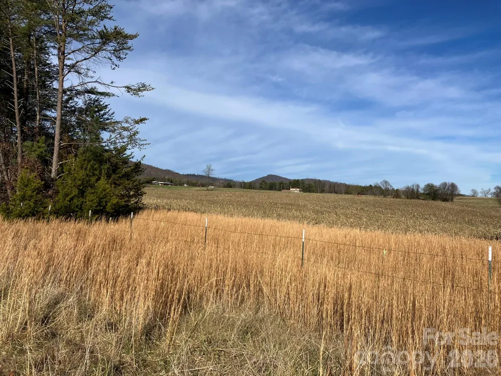 0 Dead End Road Bostic, NC 28018