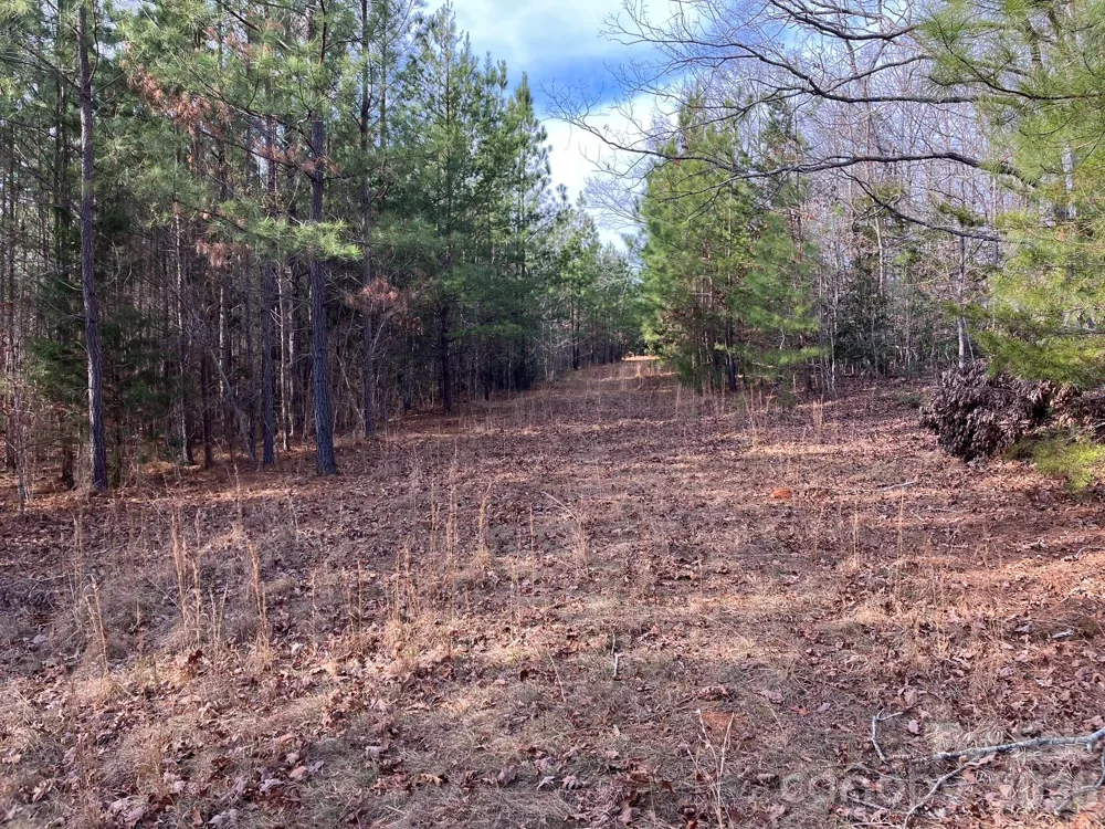 0 Dead End Road Bostic, NC 28018
