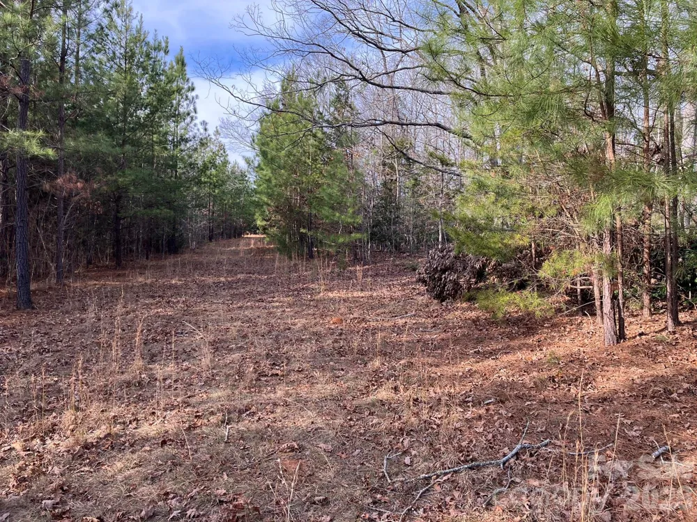 0 Dead End Road Bostic, NC 28018