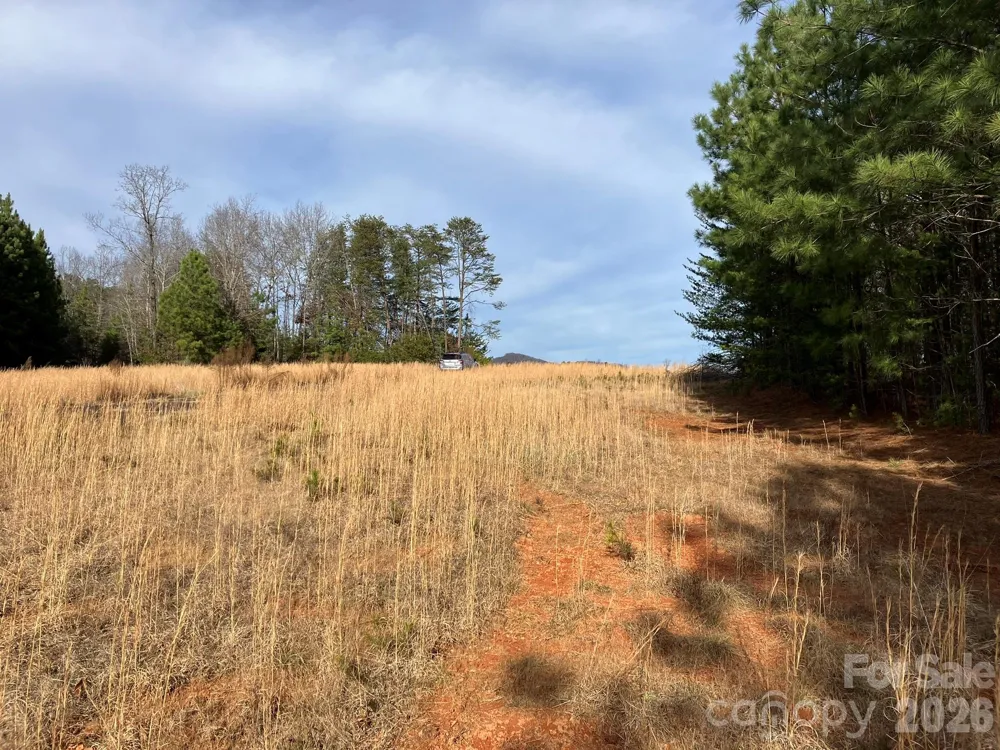 0 Dead End Road Bostic, NC 28018