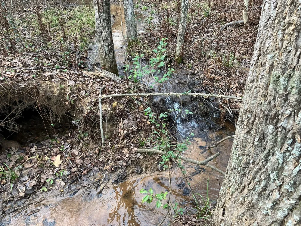0 Dead End Road Bostic, NC 28018