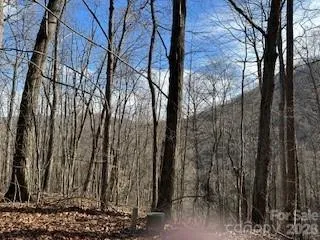 19 Blairstone Lane Maggie Valley, NC 28751