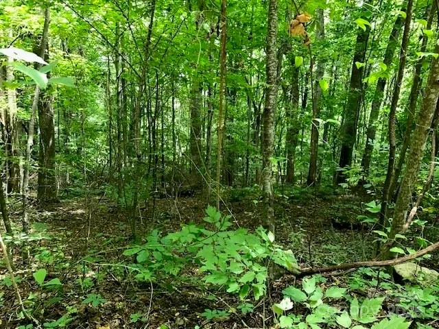 00 Red Oak Lane #Lot #24 Burnsville, NC 28714