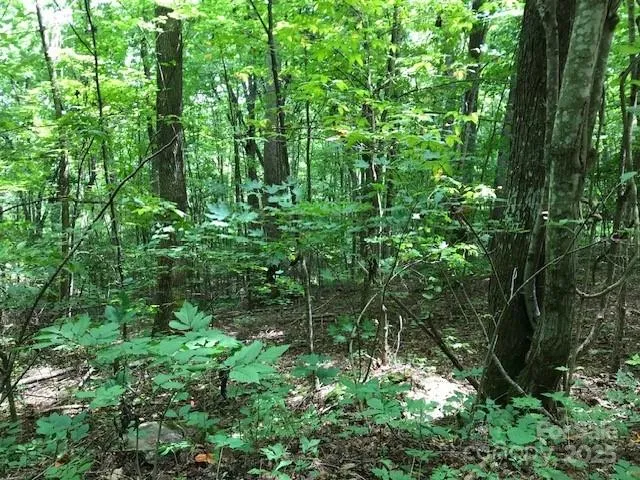 00 Red Oak Lane #Lot #24 Burnsville, NC 28714