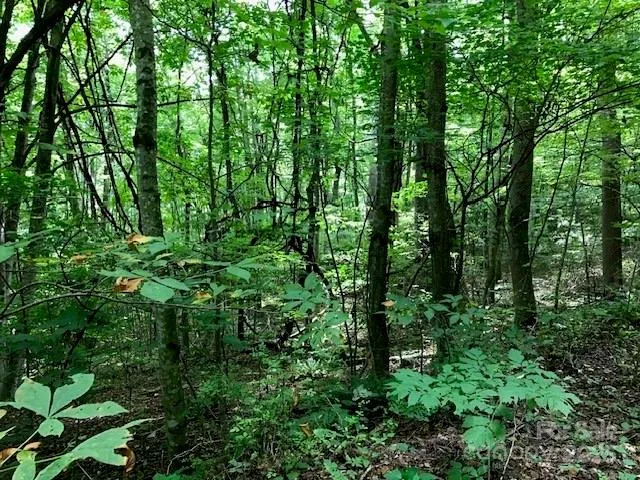 00 Red Oak Lane #Lot #24 Burnsville, NC 28714
