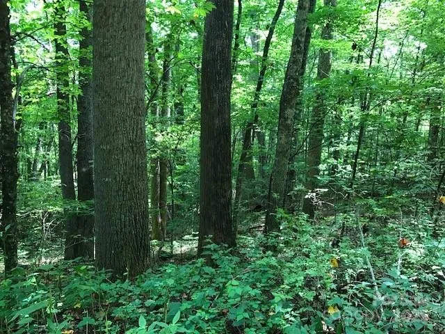 00 Red Oak Lane #Lot #24 Burnsville, NC 28714