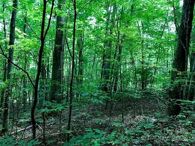 00 Red Oak Lane #Lot #24 Burnsville, NC 28714