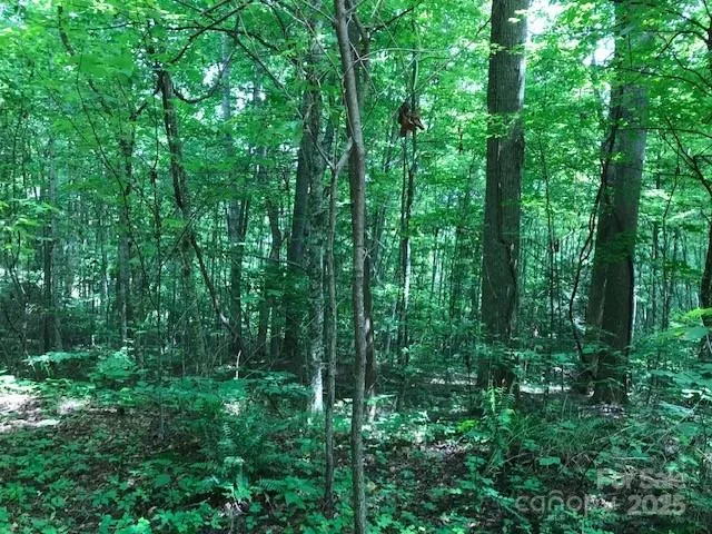 00 Red Oak Lane #Lot #24 Burnsville, NC 28714