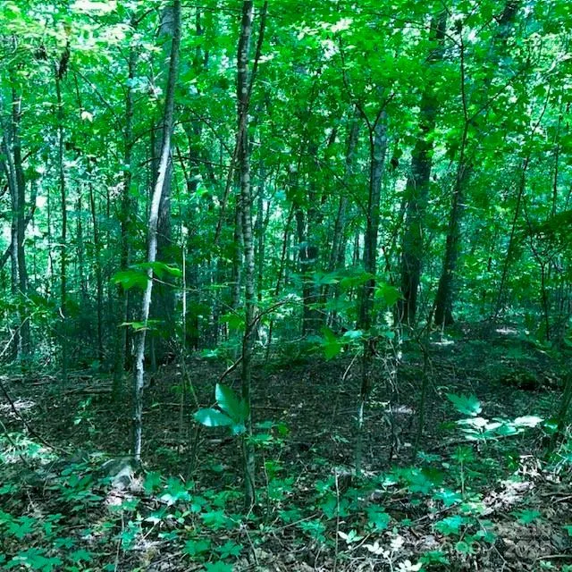00 Red Oak Lane #Lot #24 Burnsville, NC 28714