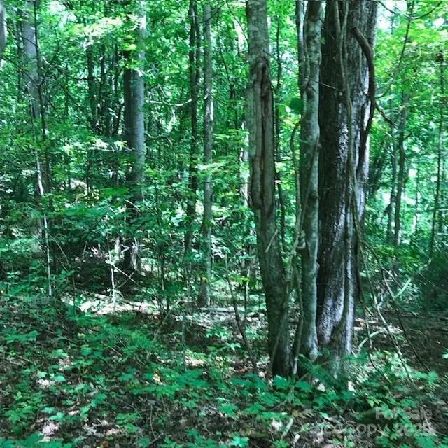 00 Red Oak Lane #Lot #24 Burnsville, NC 28714
