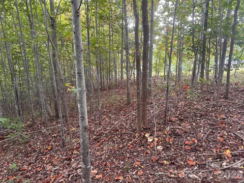 311 Scenic Vista Drive #254