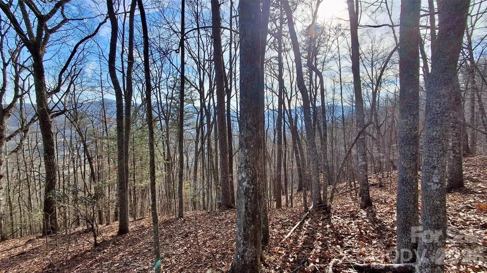 0 Briarwood Road Webster, NC 28788