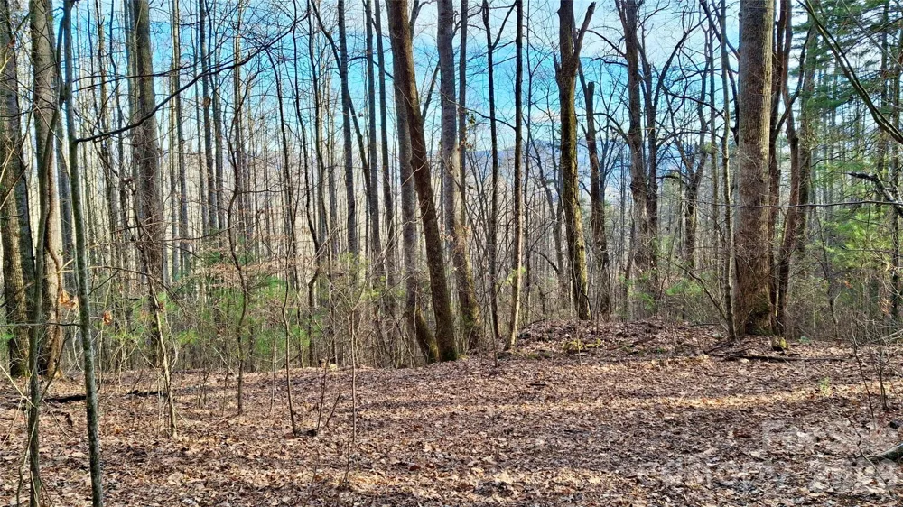 0 Briarwood Road Webster, NC 28788