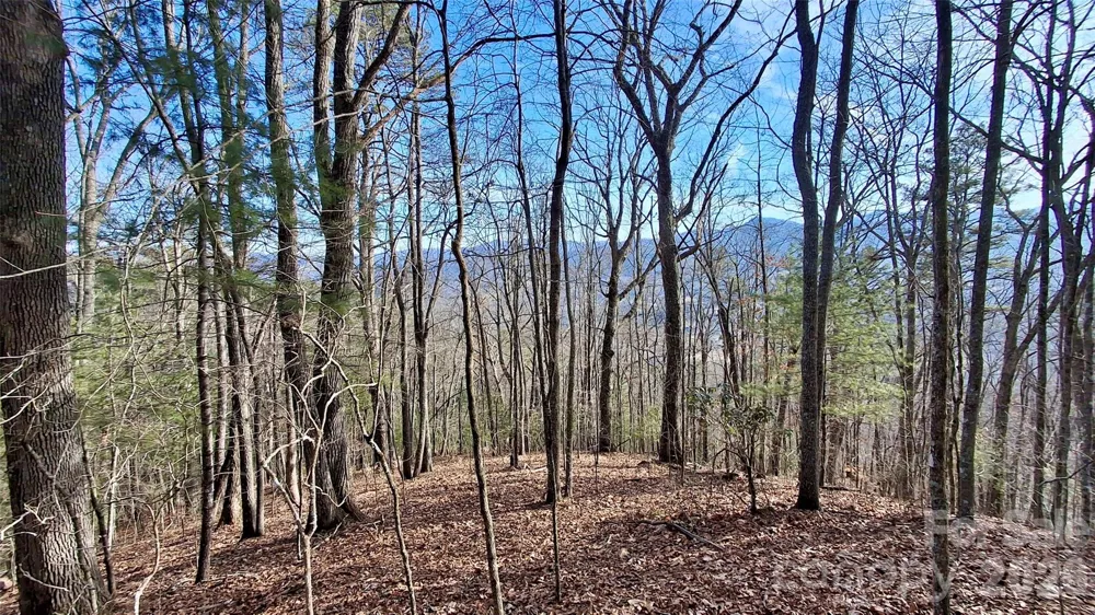 0 Briarwood Road Webster, NC 28788