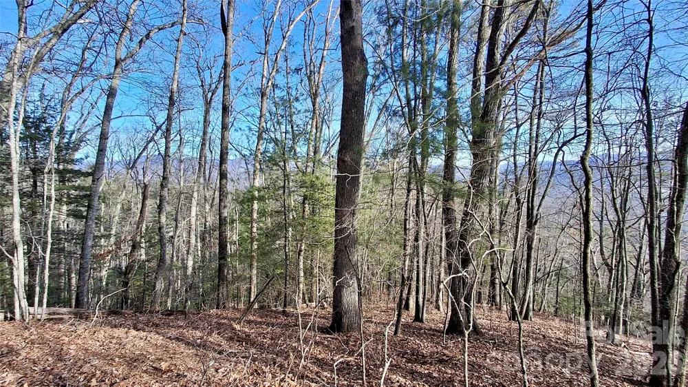 0 Briarwood Road Webster, NC 28788