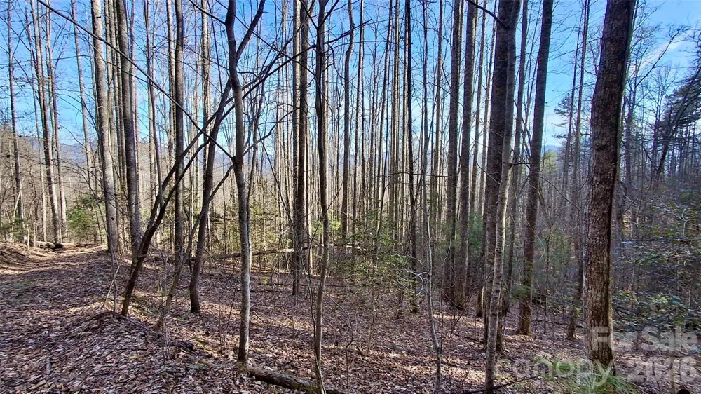 0 Briarwood Road Webster, NC 28788