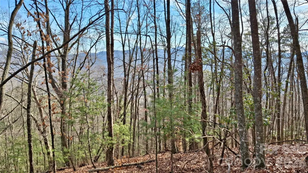 0 Briarwood Road Webster, NC 28788