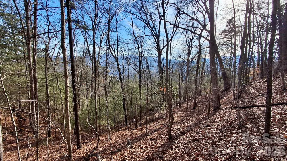 0 Briarwood Road Webster, NC 28788