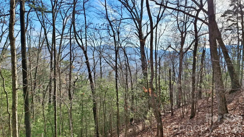 0 Briarwood Road Webster, NC 28788
