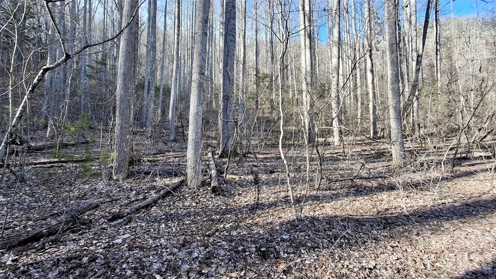 0 Briarwood Road Webster, NC 28788