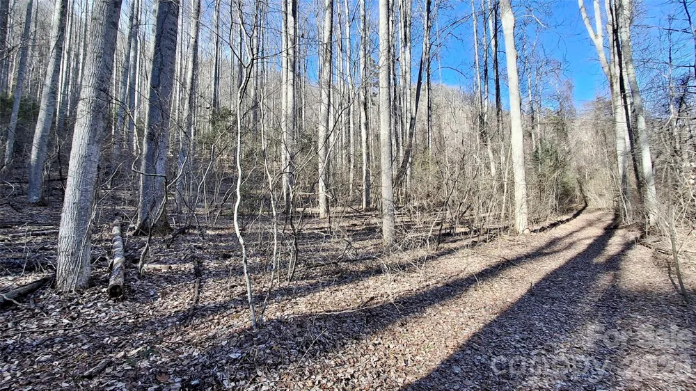 0 Briarwood Road Webster, NC 28788